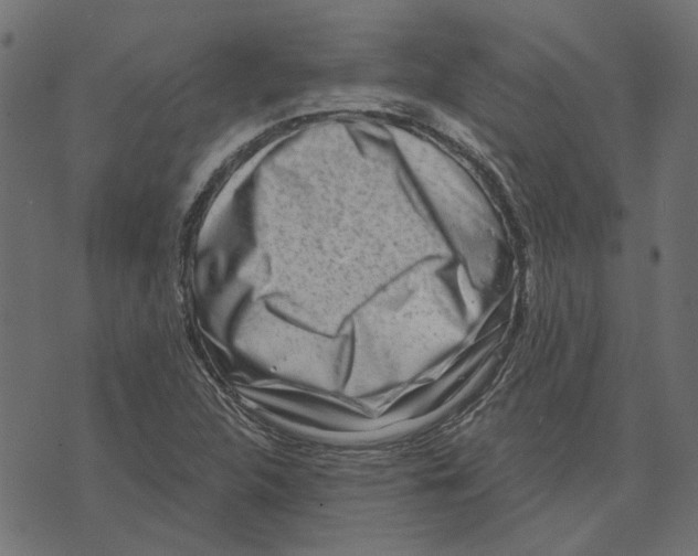 X0000072951312200608181356