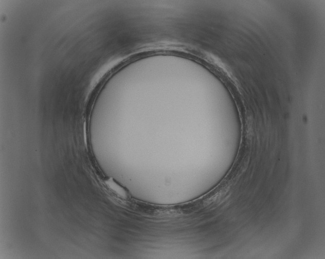 X0000072951320200608181356