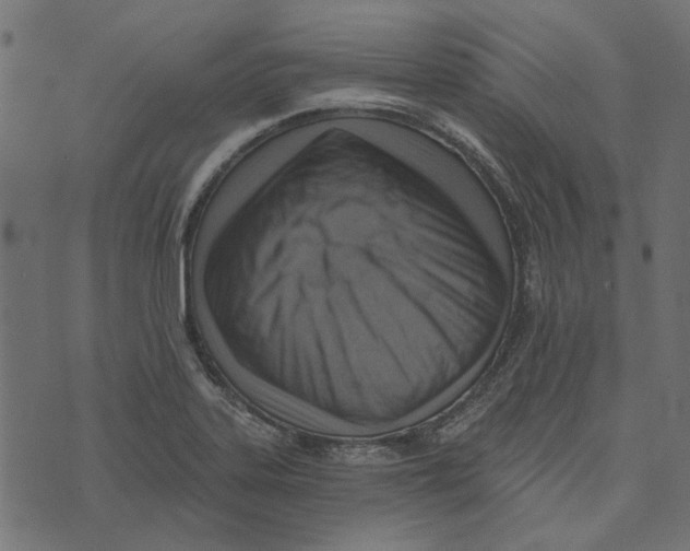 X0000072951323200608181356