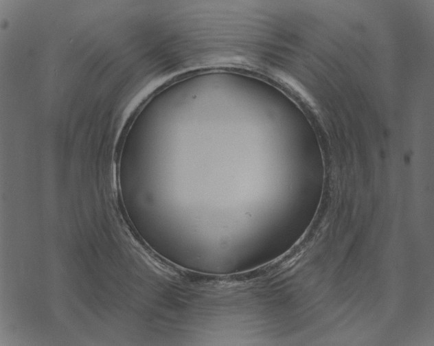 X0000072951324200608181356