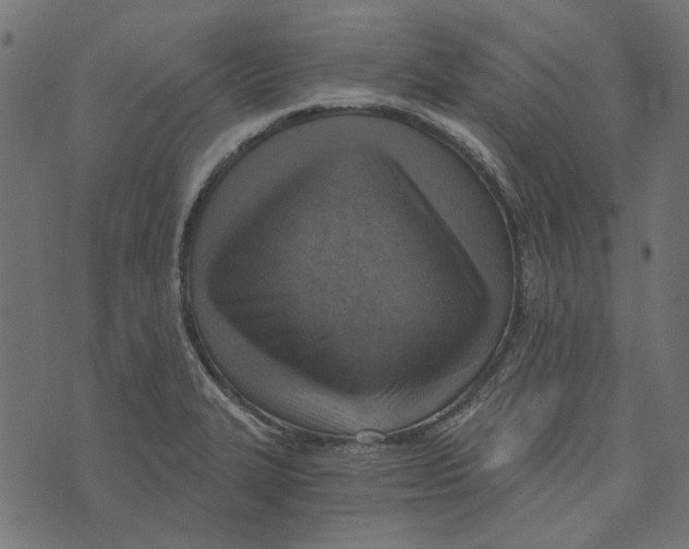X0000072951327200608181356