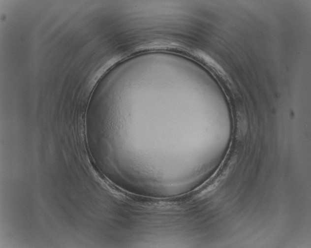 X0000072951329200608181356