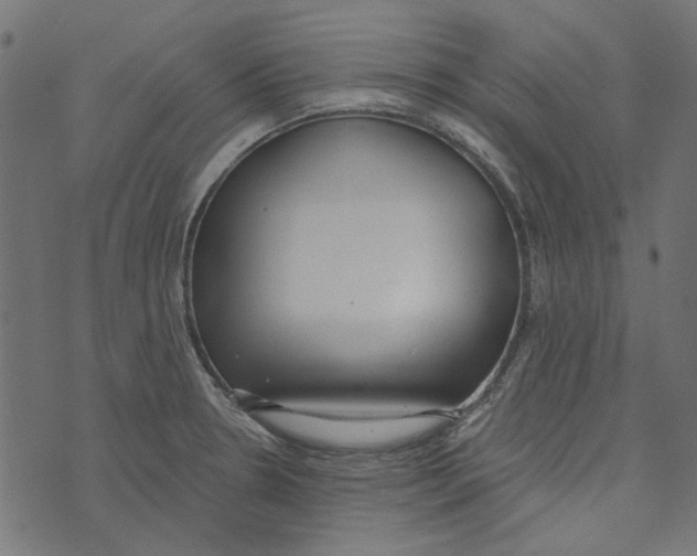 X0000072951330200608181356