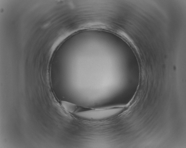 X0000072951336200608181356