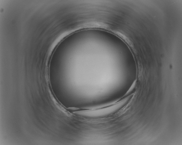 X0000072951342200608181356