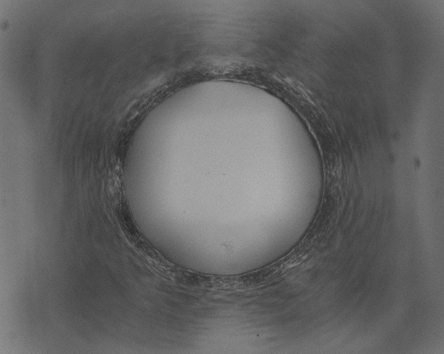 X0000072951349200608181356