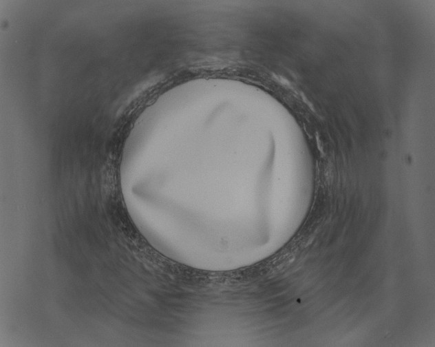 X0000072951350200608181356