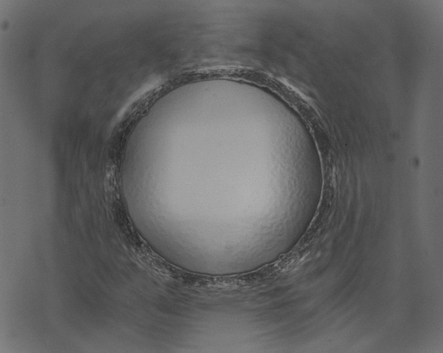 X0000072951351200608181356