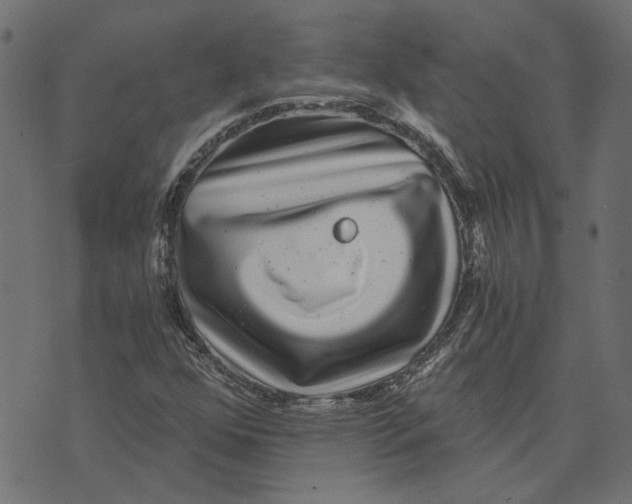 X0000072951352200608181356
