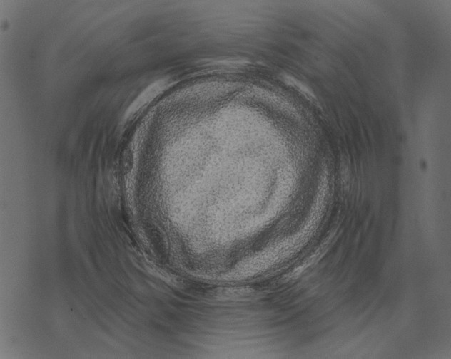 X0000072951354200608181356