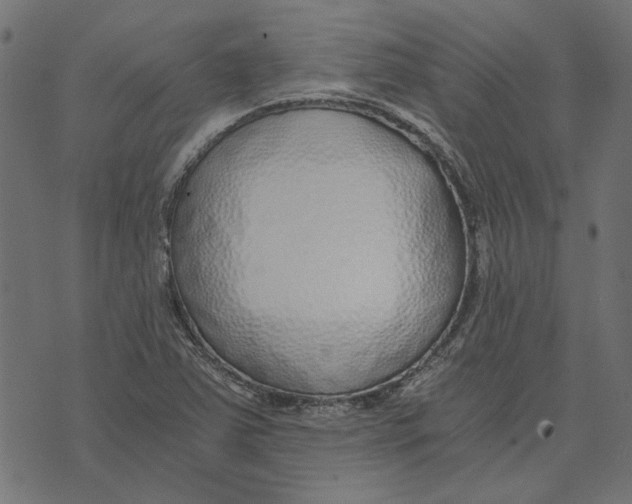 X0000072951363200608181355
