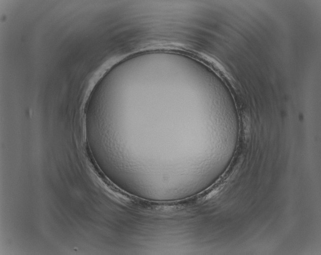 X0000072951371200608181355