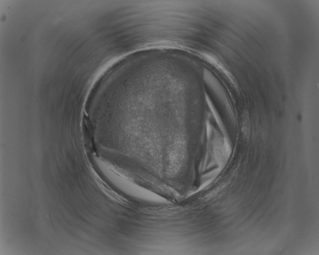 X0000072951372200608181355