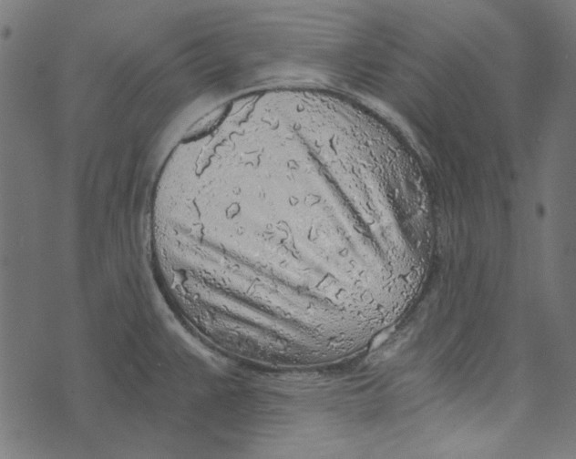 X0000072951383200608181355