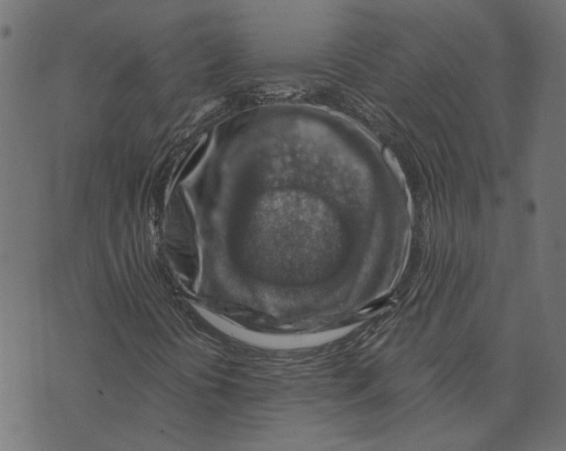 X0000072951394200608181354