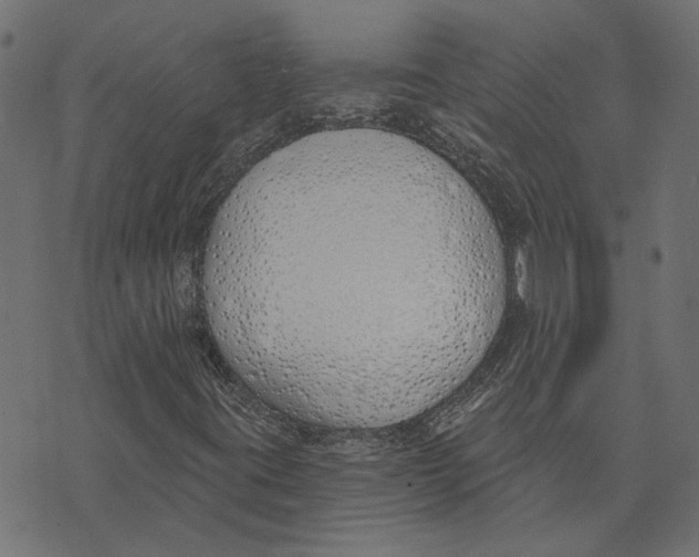 X0000072951395200608181354