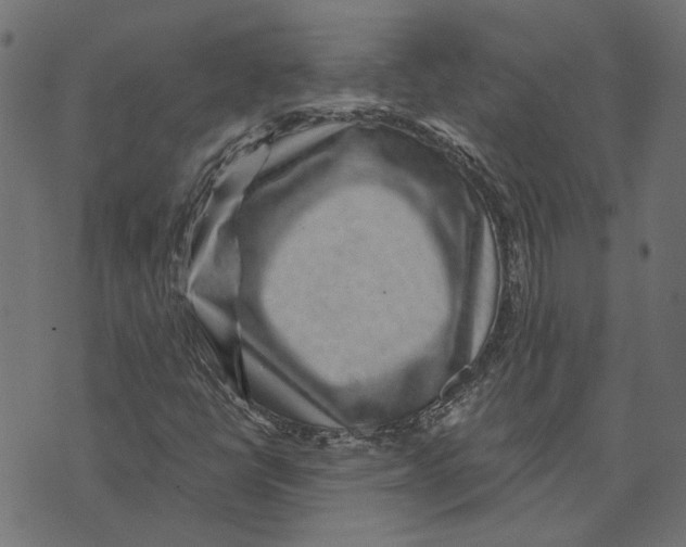 X0000072951398200608181354