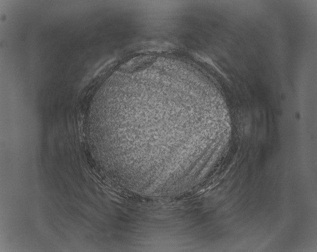 X0000072951399200608181354