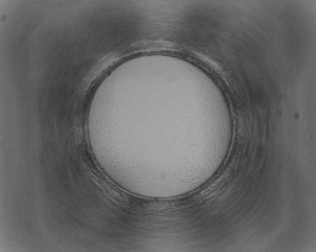 X0000072951407200608181354