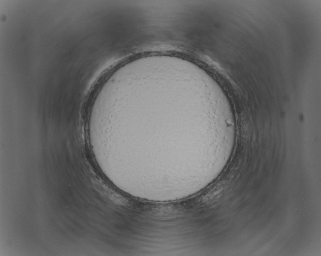 X0000072951408200608181354