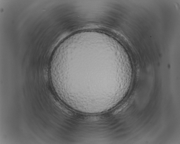 X0000072951409200608181354