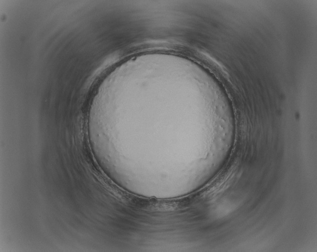 X0000072951411200608181354
