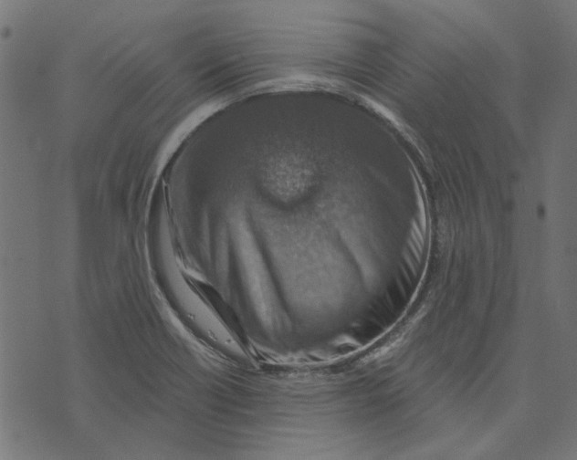 X0000072951418200608181355
