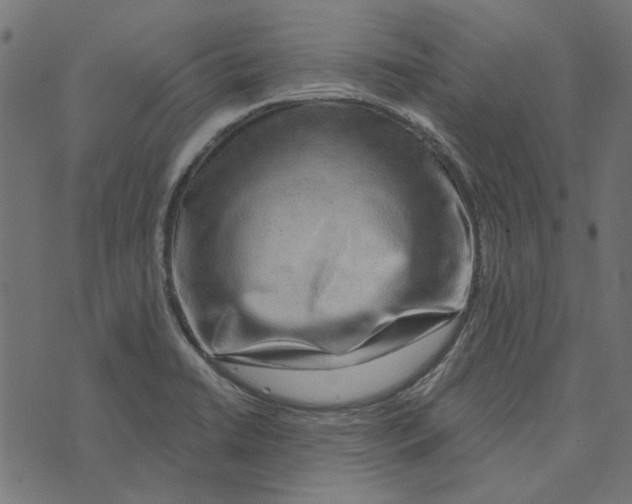 X0000072951422200608181355