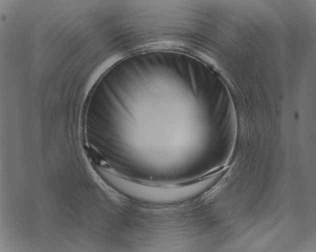 X0000072951426200608181355