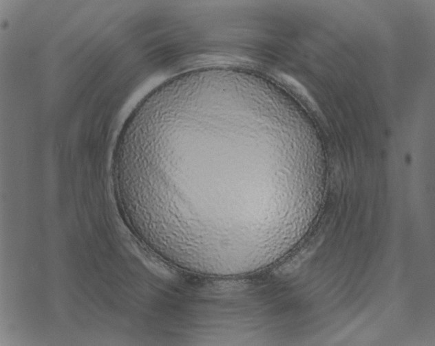 X0000072951427200608181355