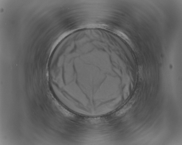 X0000072951428200608181355