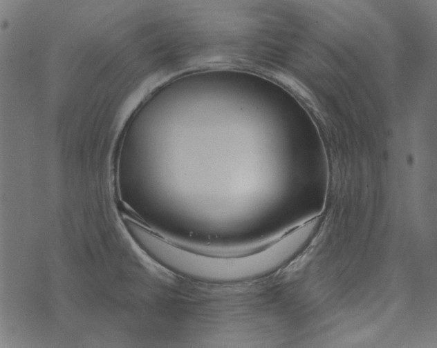 X0000072951430200608181355