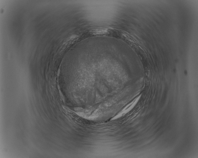 X0000072951441200608181354