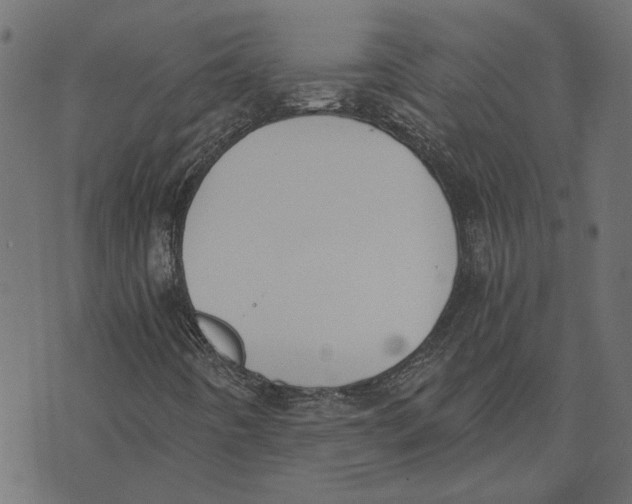 X0000072951442200608181354