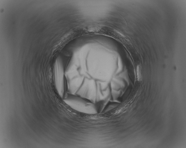 X0000072951443200608181354