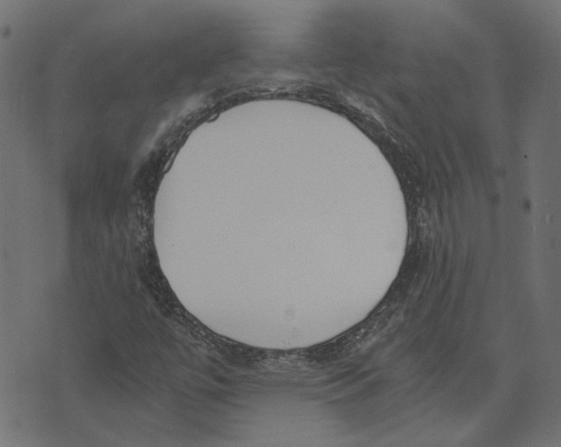 X0000072951447200608181354