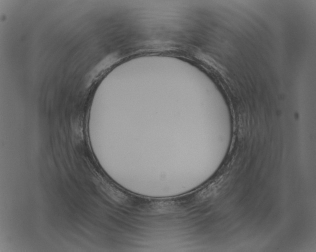 X0000072951451200608181354