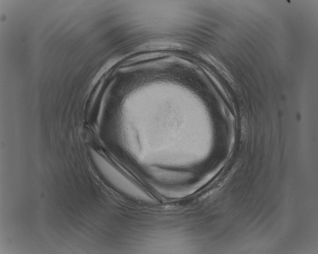 X0000072951465200608181354