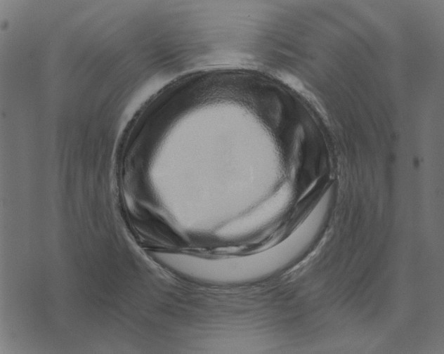 X0000072951469200608181354