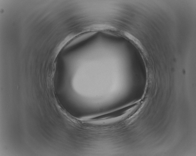 X0000072951473200608181354