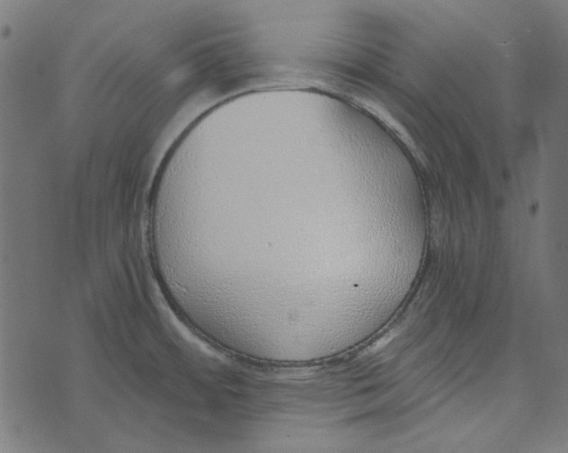 X0000072951484200608181353