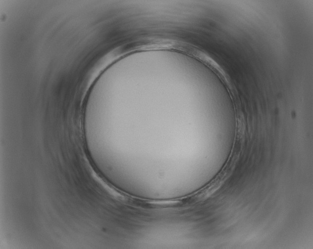 X0000072951487200608181353