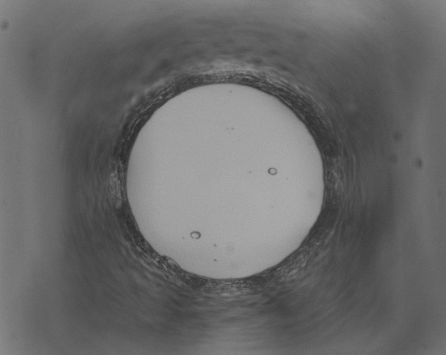 X0000072951493200608181353