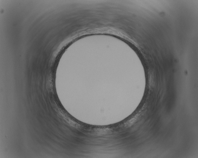 X0000072951498200608181353