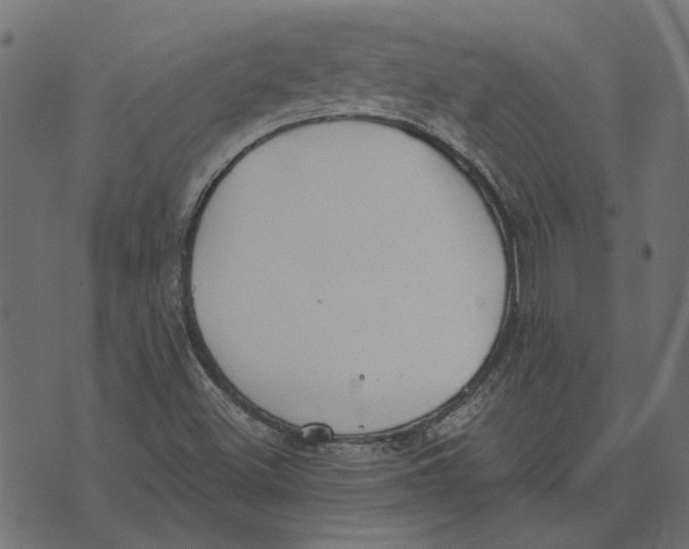 X0000072951500200608181353