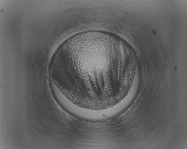 X0000072951508200608181353