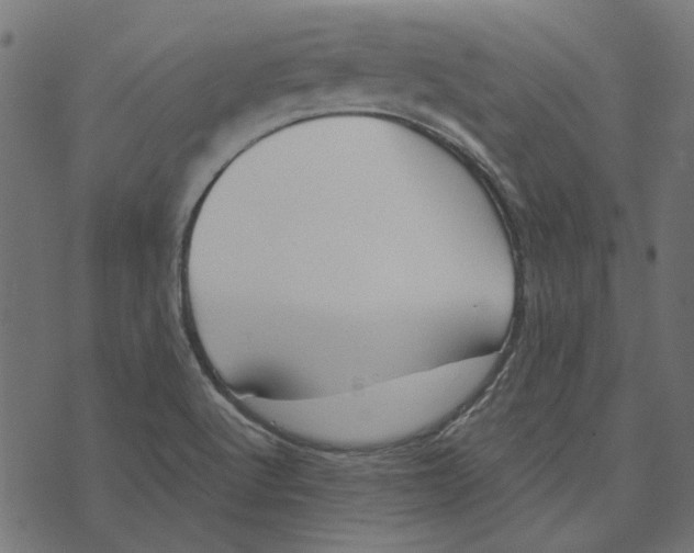 X0000072951512200608181353