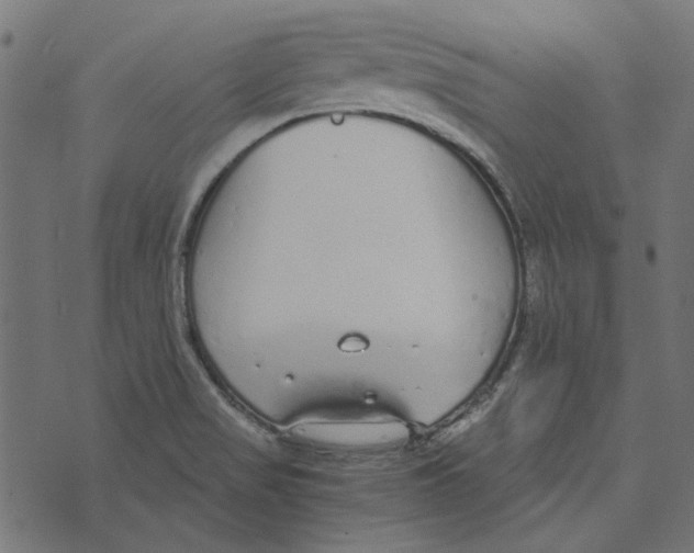 X0000072951517200608181353