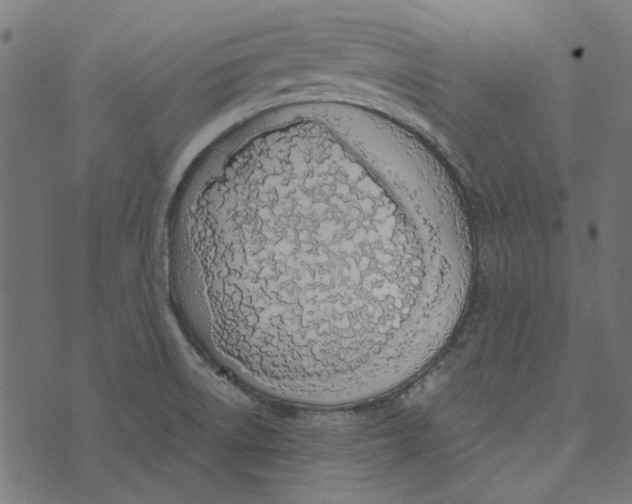 X0000072951522200608181353