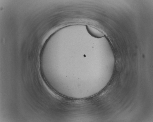 X0000072951523200608181353